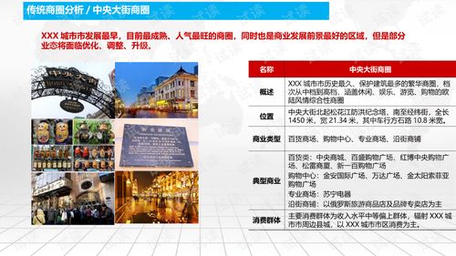 商业广场招商运营与物业管理综合解决方案——在三大体系协同中的持续运营力提升