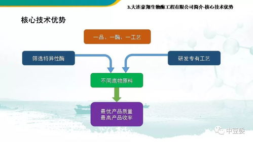 豆渣为原料生产大豆糖肽及产品简介