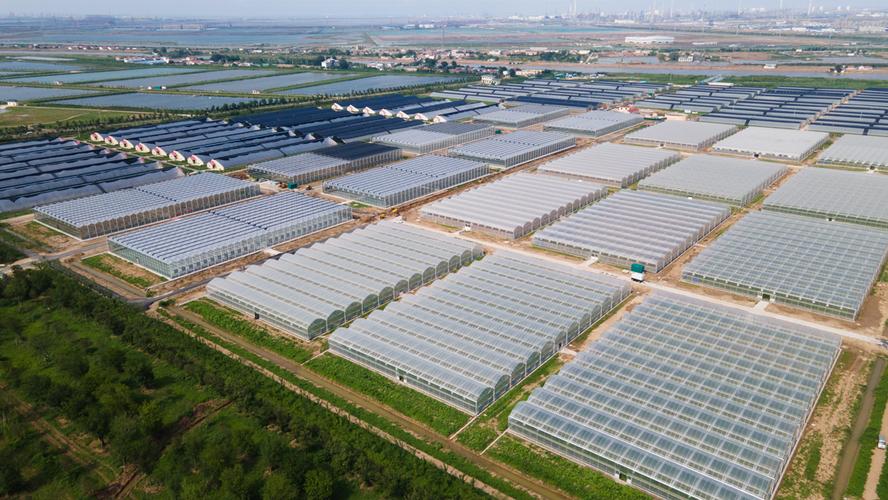 香河生态园蔬菜基地一期建设运营项目招商公告